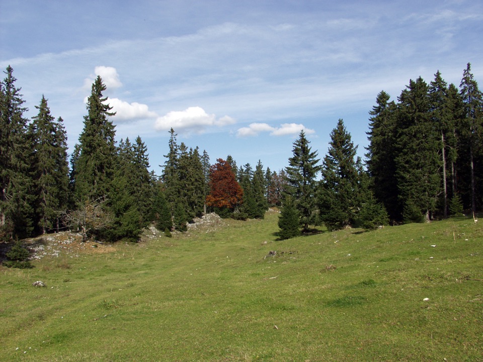 paysage Oberland Zurichois